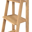 Corona Ladder Bookcase